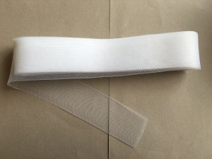 Регілін звичайний 10 см. № 01