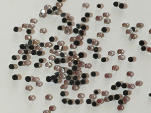 SS6 белый-1 мл (4).JPG